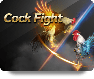Join the Fun with Dafabet Slot Baccarat Tournaments Today