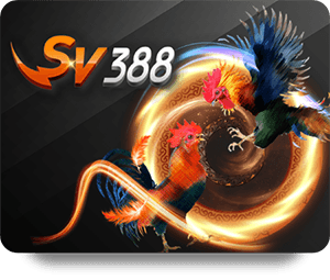 FUN88 Thể Thao VIP: Cược Thể Thao An Toàn Và Bảo Mật